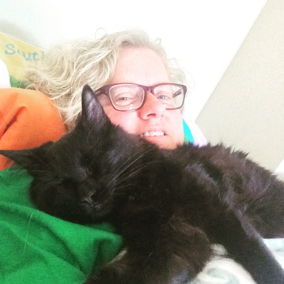 cat2